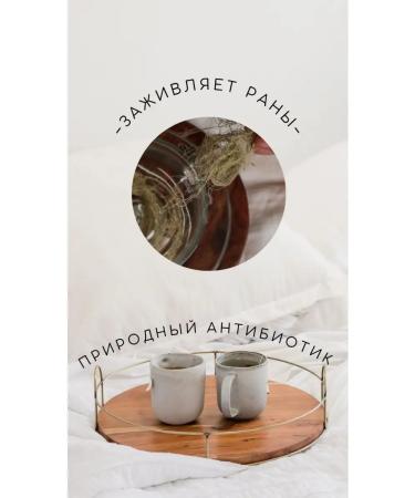 ALTAI SHAMAN Slotting bearded - Buy Online on GoSupps.com