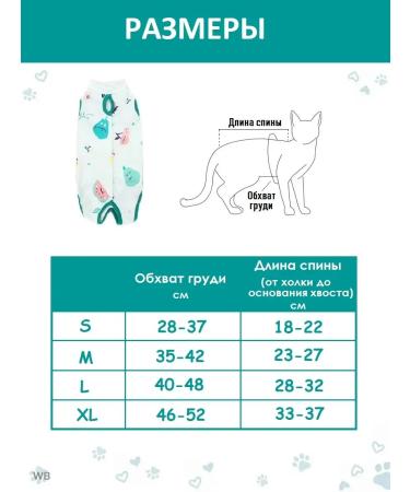 Chezare Popon for a cat postoperative on a Velcro sterilization - Buy Online on GoSupps.com
