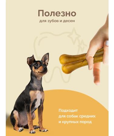 Zoonik Chewing bones for dogs 3-20 - Buy Online on GoSupps.com