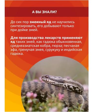 Viprazan An ointment for joints anesthetic for muscles - Buy Online on GoSupps.com