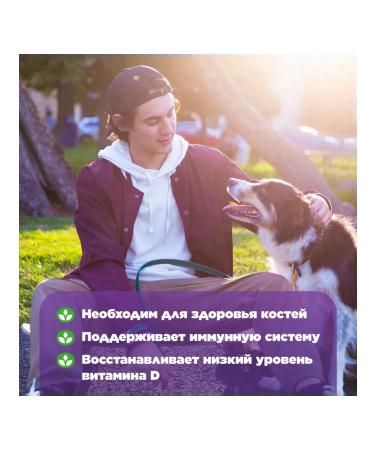 Natrol Vitamin D3 2000 for adults D3 2000 ME 90 tab - Buy Online on GoSupps.com