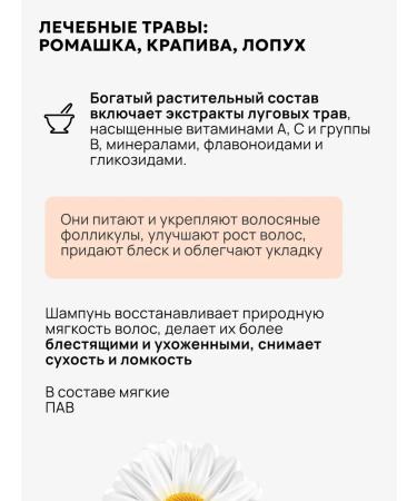 Natural healer Shampoo for thin hair with medicinal herbs - Buy Online on GoSupps.com