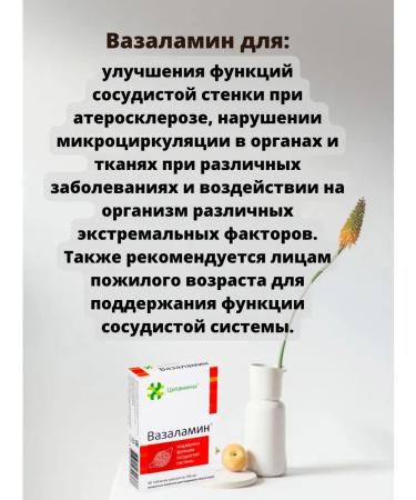 NEXT BIO Vasalalamin for blood vessels 20*2 tablets - Buy Online on GoSupps.com