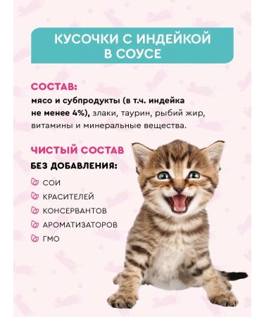 TASTY Kittens Feed Wet spider 85 g 28 pcs turkey - Buy Online on GoSupps.com