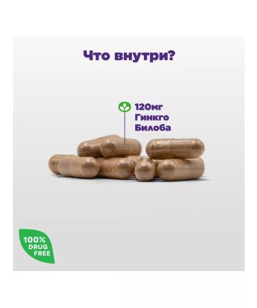 Natrol Ginkgo biloba ginkgo biloba memory vitamins 60 cap - Buy Online on GoSupps.com