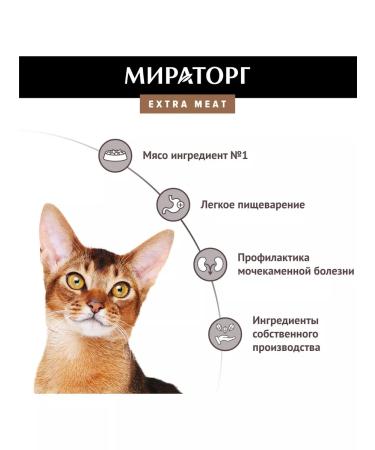 Miratorg Dry food for domestic cats Black Angus 1.2kg - Buy Online on GoSupps.com