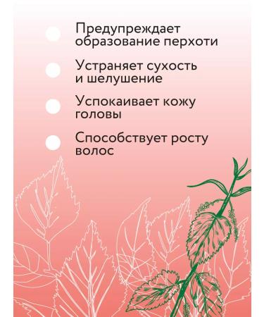 mirrolla Tar shampoo with burdock and nettles against dandruff - Buy Online on GoSupps.com