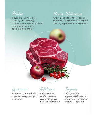 Best dinner Feed for cats of cats dry beef apple 1.5 kg - Buy Online on GoSupps.com