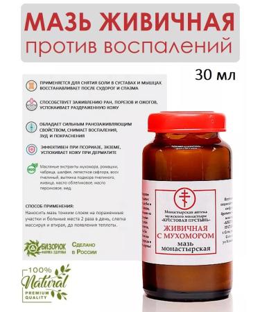 Bizoryuk Healing ointment with a gum for body and face 30 ml - Buy Online on GoSupps.com