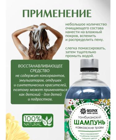 Bizoryuk Natural shampoo for dry damaged hair 500 ml - Buy Online on GoSupps.com