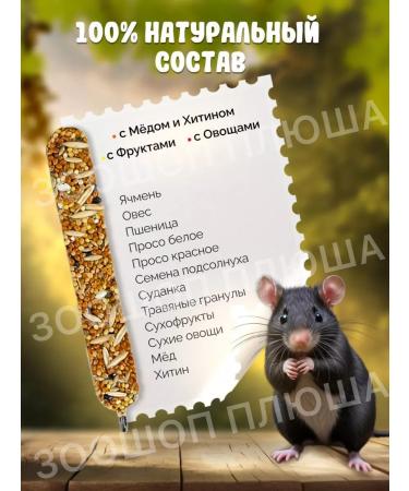 Triol / Feed A treat for rodents hamsters and rats - Buy Online on GoSupps.com