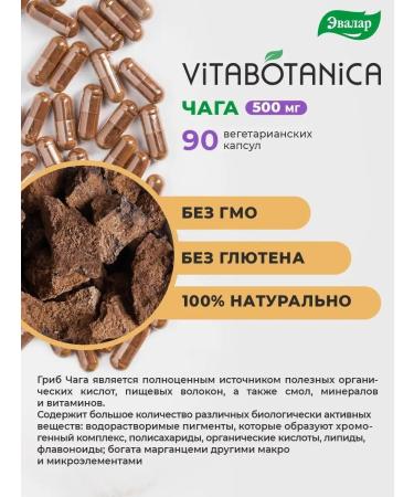 Evalar Vitabotany chaga capsule 90 pcs - Buy Online on GoSupps.com