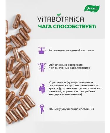 Evalar Vitabotany chaga capsule 90 pcs - Buy Online on GoSupps.com