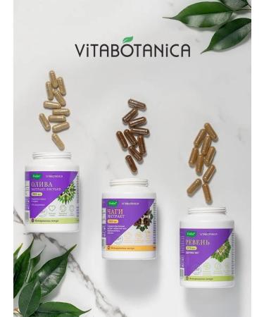 Evalar Vitabotany chaga capsule 90 pcs - Buy Online on GoSupps.com