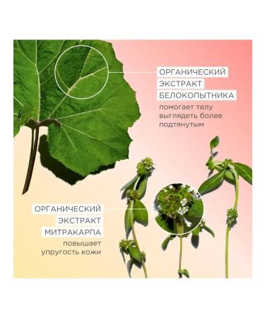 Clarins Body Firming body weight loss and elasticity of the body - Buy Online on GoSupps.com