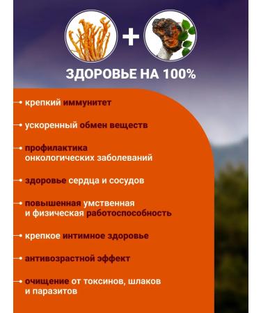 ALFIT Cordyceps and chaga birch in capsules vitamins for energy - Buy Online on GoSupps.com