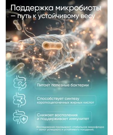 Tree of Life Protein for weight loss. Body Lite Protein protein cocktail - Buy Online on GoSupps.com