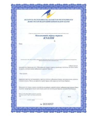 Art Life Phytogel Jointgel support for the musculoskeletal system - Buy Online on GoSupps.com