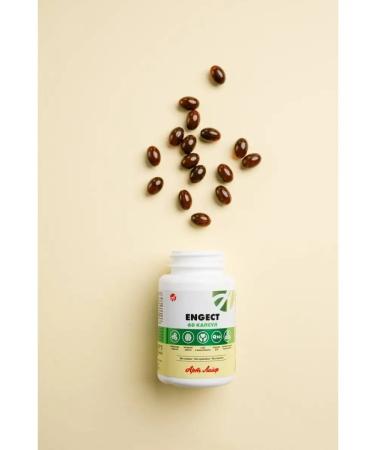 Art Life Engect cell update - Buy Online on GoSupps.com