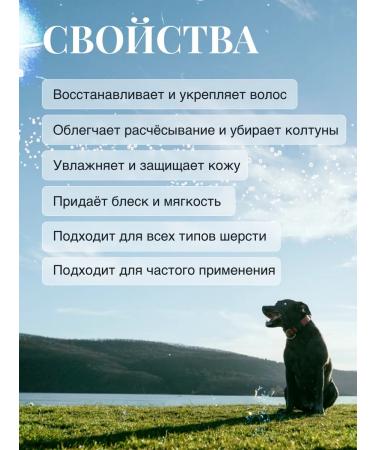 MILORD A profitable professional set of dog shampoo and balm - Buy Online on GoSupps.com