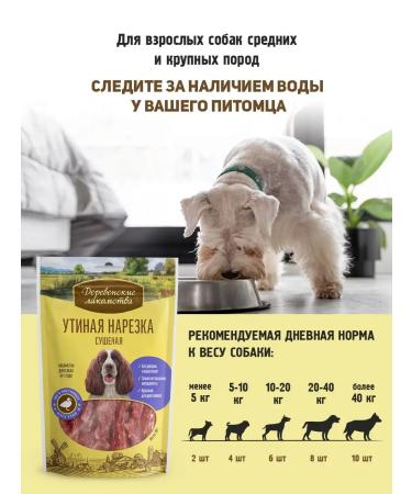 Country delicacies Ducky cutting dried 1 packaging - Buy Online on GoSupps.com