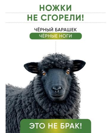 Top Lap Bone of a lamb leg with a hoof veins and cartilage 1 piece - Buy Online on GoSupps.com