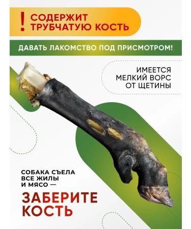 Top Lap Bone of a lamb leg with a hoof veins and cartilage 1 piece - Buy Online on GoSupps.com