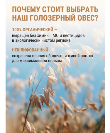 Aratai Oats Goloserny germination grain 1 kg - Buy Online on GoSupps.com