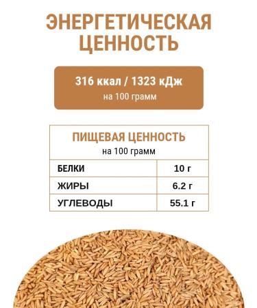 Aratai Oats Goloserny germination grain 1 kg - Buy Online on GoSupps.com