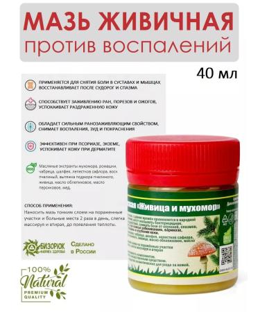 Bizoryuk Monastery ointment healing 40 ml