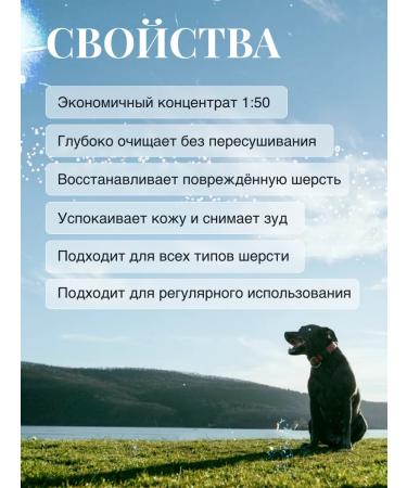 MILORD Professional dog shampoo concentrate 1 50 - Buy Online on GoSupps.com