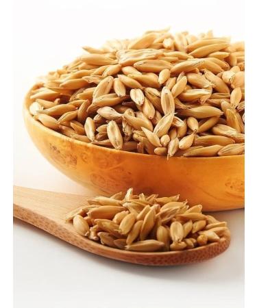 Altai lifestyle Oats in the shell for brewing and germinating 1kg - Buy Online on GoSupps.com