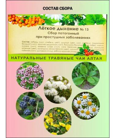 Secrets of Altai Herbal collection for a cold flu ORZ - Buy Online on GoSupps.com