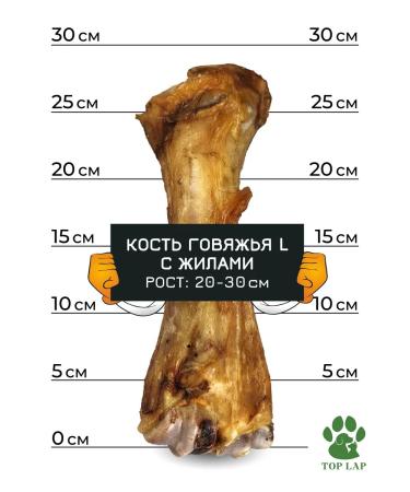 Top Lap Bone for dogs of large breeds with veins and cartilage - Buy Online on GoSupps.com