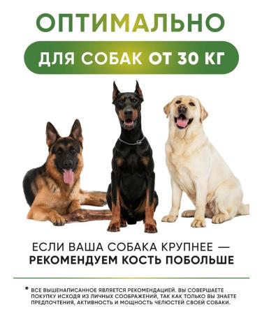 Top Lap Bone for dogs of large breeds with veins and cartilage - Buy Online on GoSupps.com