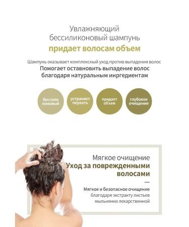 LADOR Set of shampoo and hair air conditioner - Buy Online on GoSupps.com