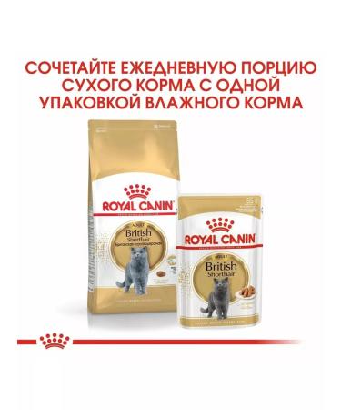 ROYAL CANIN British shorthair feed of British short -haired cats 10kg - Buy Online on GoSupps.com
