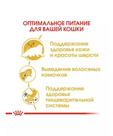 Royal Canin Person adult adult cats of Persian breed 4 kg - Buy Online on GoSupps.com