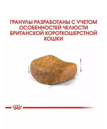 ROYAL CANIN British shorthair feed of British short -haired cats 2kg - Buy Online on GoSupps.com