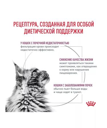 ROYAL CANIN Renal cat food chronic renal failure of 4 kg - Buy Online on GoSupps.com