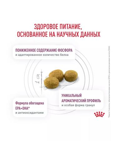ROYAL CANIN Renal cat food chronic renal failure of 4 kg - Buy Online on GoSupps.com