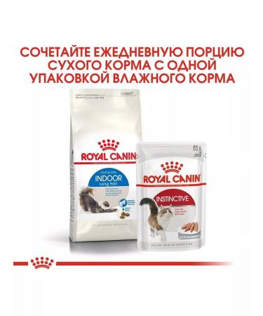 ROYAL CANIN Indoor Long Hair feed for adult long -haired cats 2kg - Buy Online on GoSupps.com