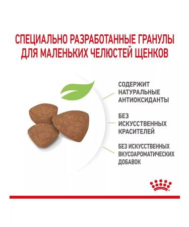 ROYAL CANIN Dry food for small -breed puppies 800 g - Buy Online on GoSupps.com