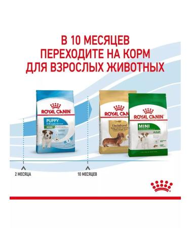 ROYAL CANIN Dry food for small -breed puppies 800 g - Buy Online on GoSupps.com