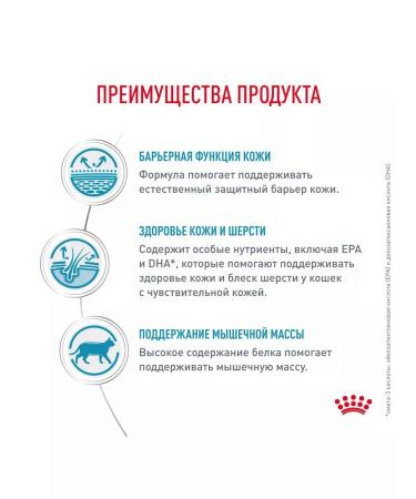 Royal Canin Skin & Coat sterilized cat food skin problems 3.5 kg - Buy Online on GoSupps.com