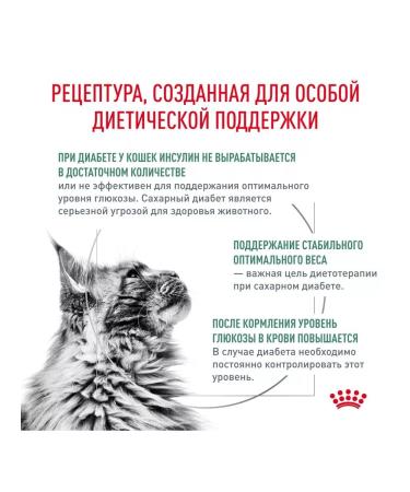 ROYAL CANIN Diabetic food for adults and elderly cats with diabetes 1.5 kg - Buy Online on GoSupps.com