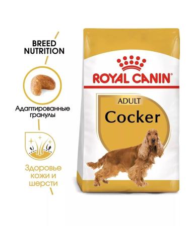 ROYAL CANIN Cocker adult dogs breed Coker Spaniel 3kg - Buy Online on GoSupps.com