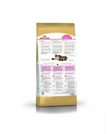 ROYAL CANIN Dry food for kittens of main-kun rocks 10 kg - Buy Online on GoSupps.com