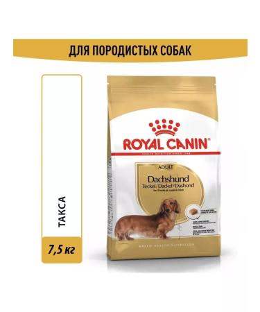 ROYAL CANIN Dachshund adult adult dogs of a fee of a dachshund 7.5 kg