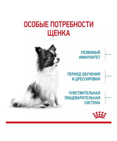 ROYAL CANIN Dry food for miniature dyed puppies 1.5 kg - Buy Online on GoSupps.com